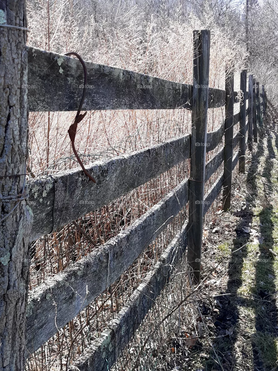 Old Distressed Farm Fence