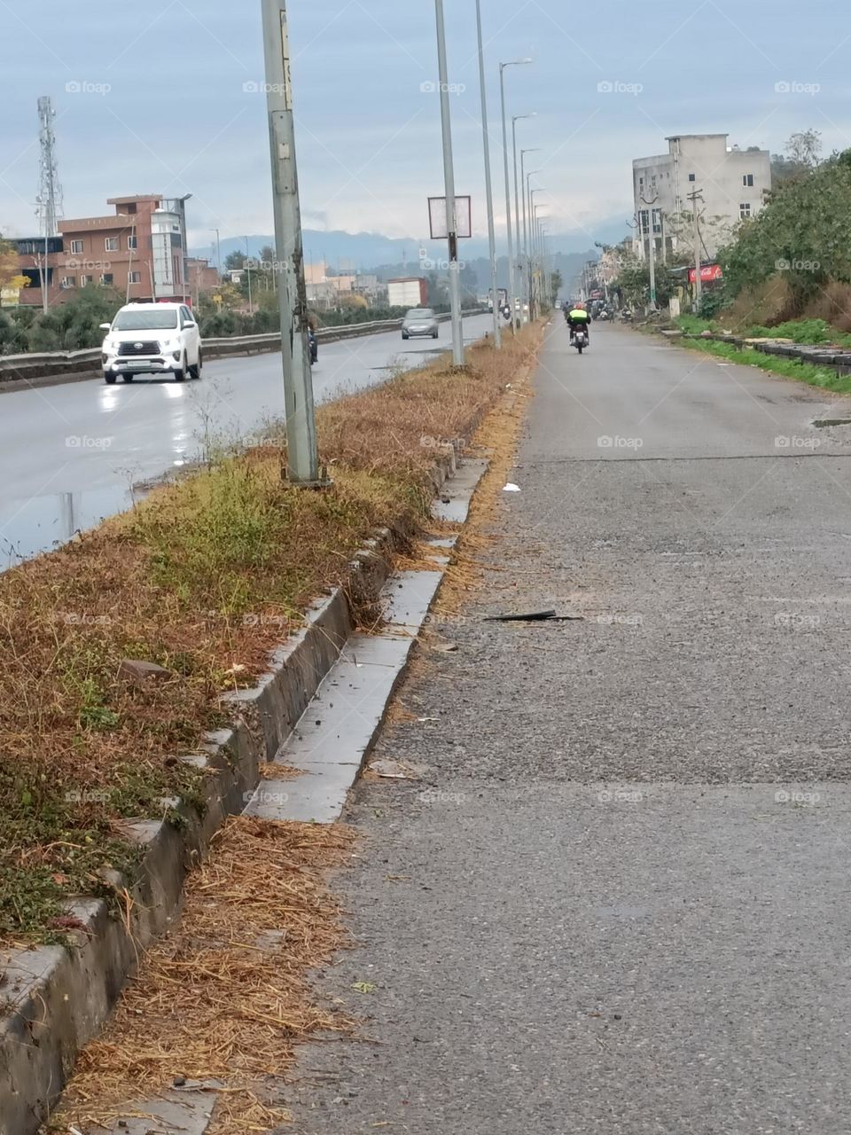 editor's choice: photo of the week