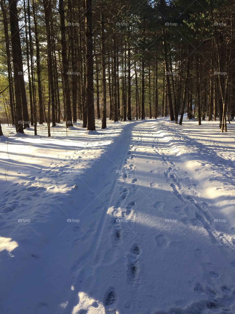 "Winter walk"

Boone, NC