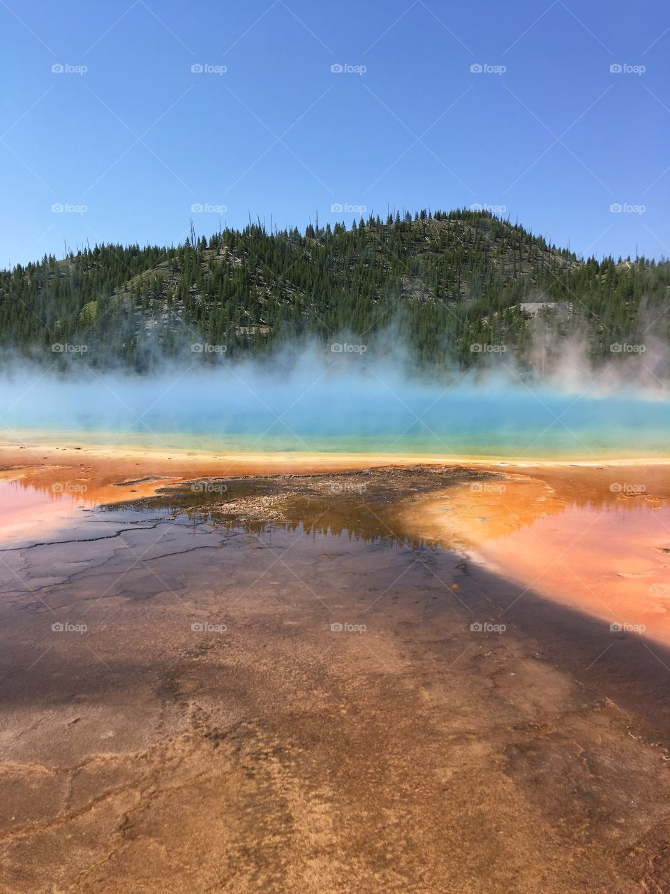 The Grand Prismatic Spring in Yellowstone National Park, USA