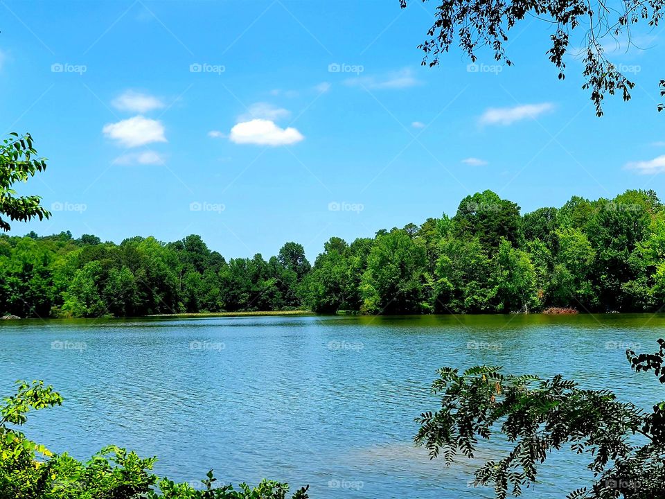 The Beautiful Lake View