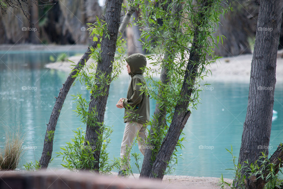 Leaves starting to grow on trees. A child enjoying a stroll on a nice day in spring.