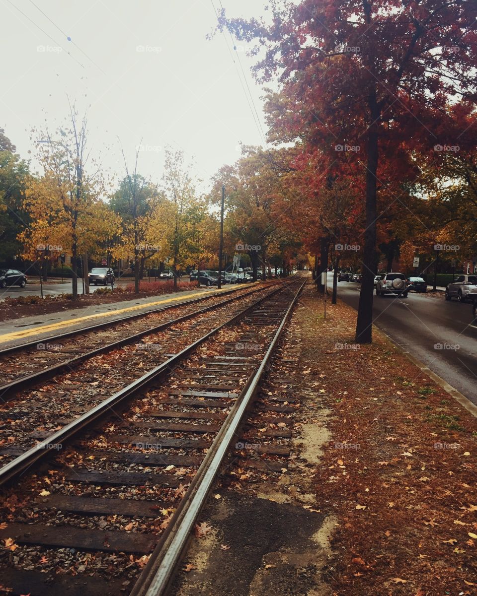 Fall train tracks 