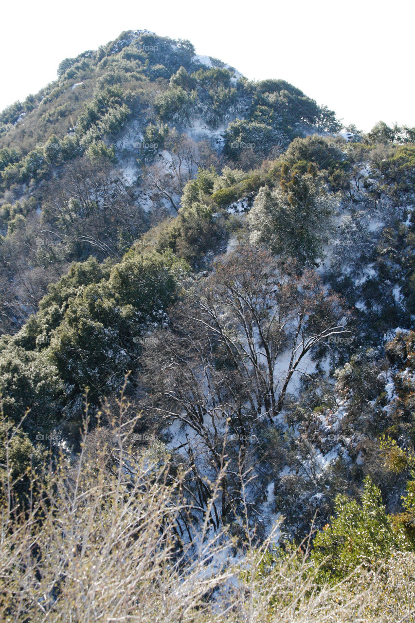 Winter mountain landscape 