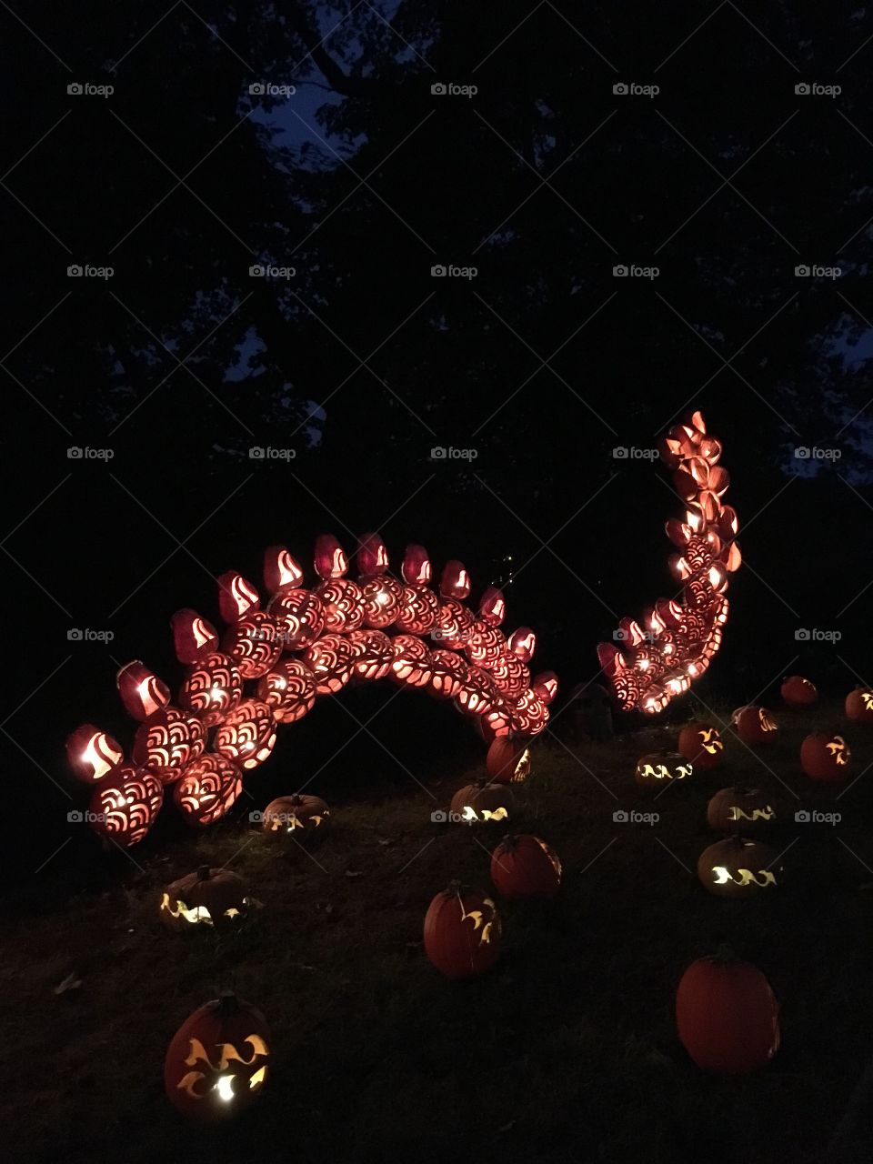 The Great Jack O’Lantern Blaze