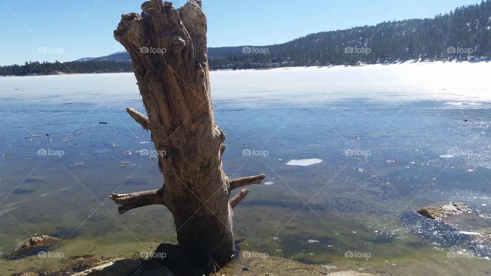 Nature in Big Bear