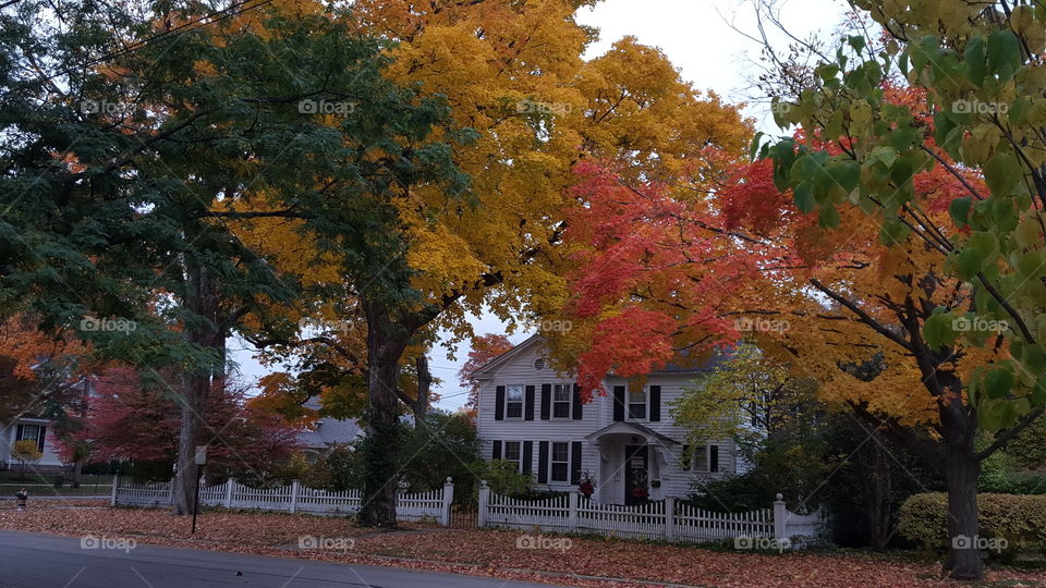 fall from home. love our neighborhood