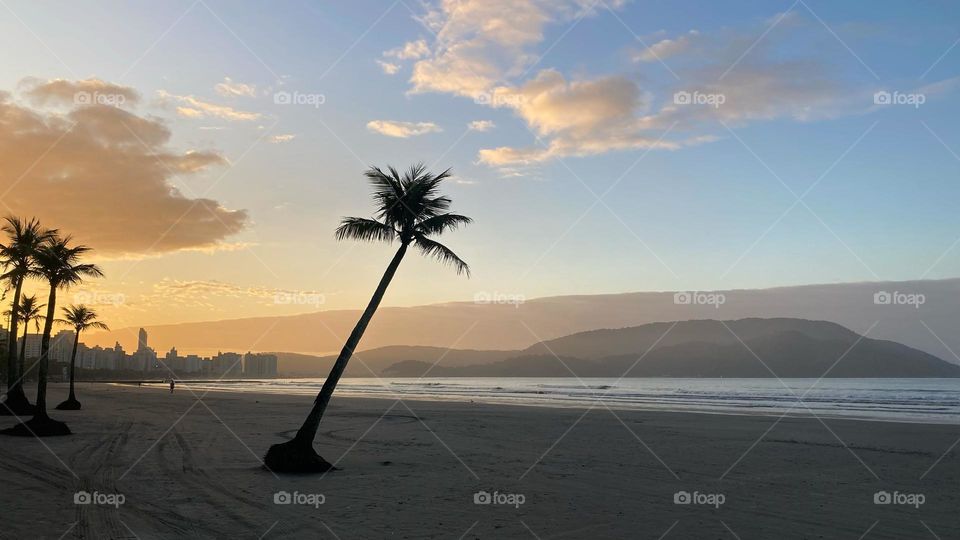 🇺🇸 A beautiful landscape of Santos, Brazilian coast.  Long live Nature and its beauty! / 🇧🇷 Uma linda paisagem de Santos, litoral brasileiro. Viva a Natureza e a sua beleza!