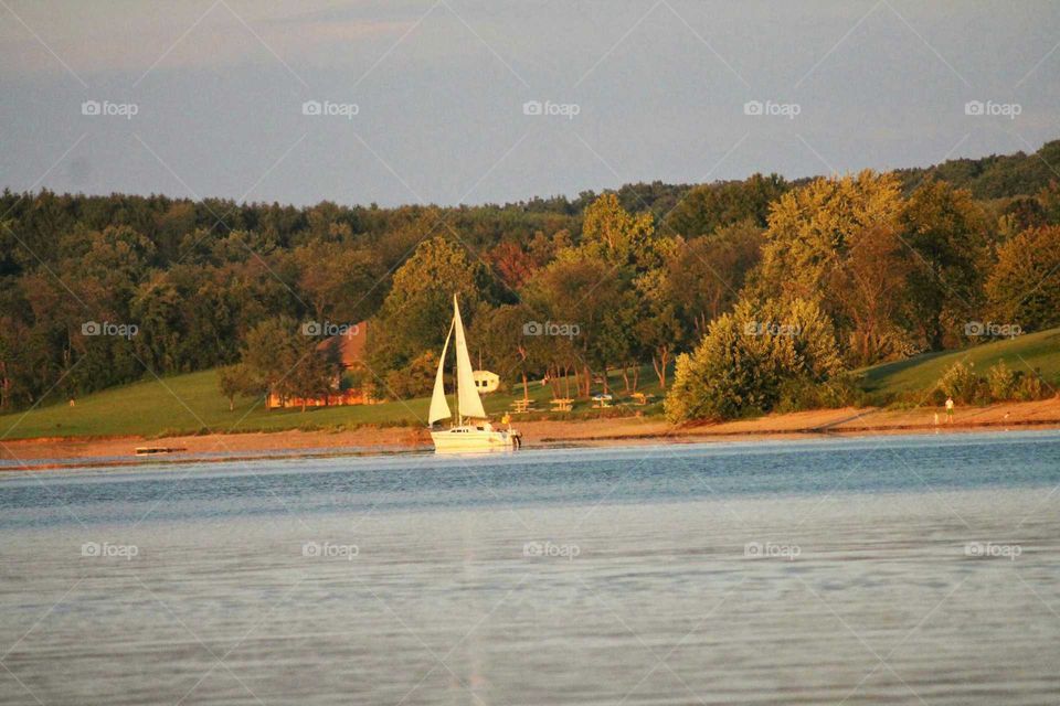 Water, No Person, River, Lake, Tree