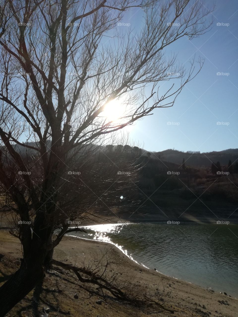 Turano lake. The sun, the water and the tree make a wonderful effect😊