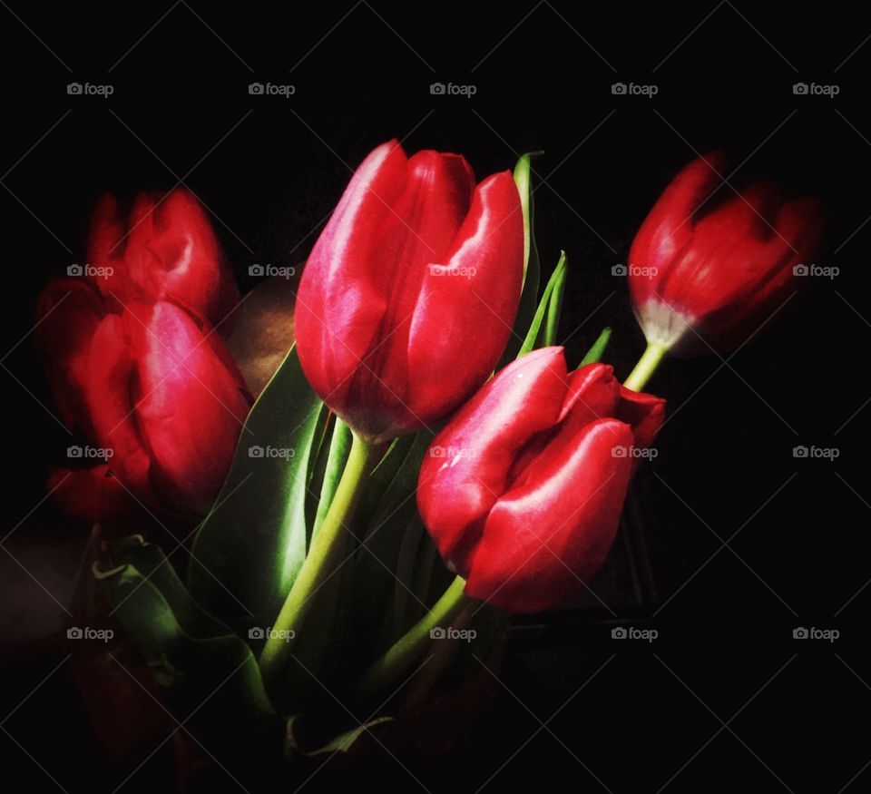 Tulip, Flower, Love, Nature, Bouquet