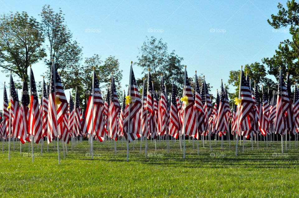 Flags