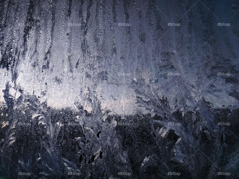 Frost ferns on window. Beautiful winter