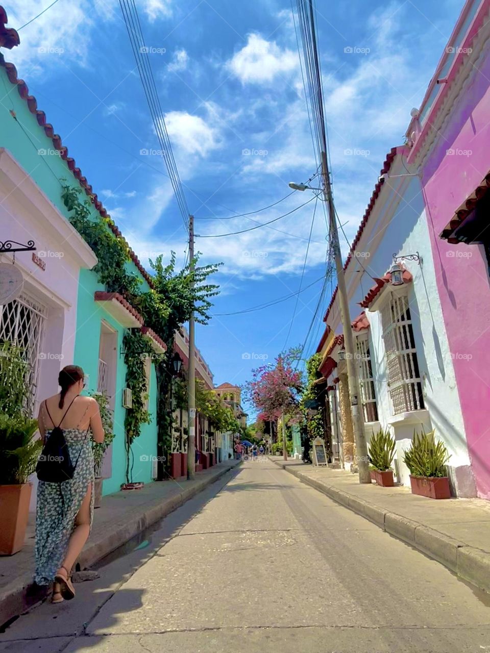 The summer in the historical city