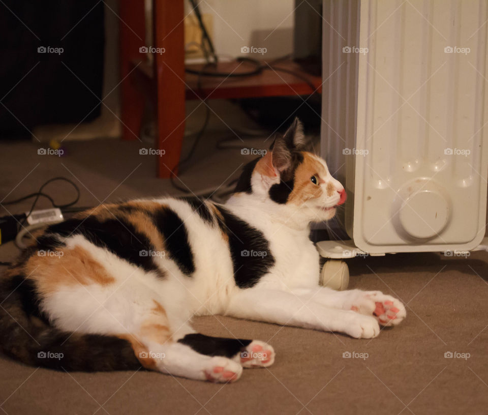 Loving the heater 