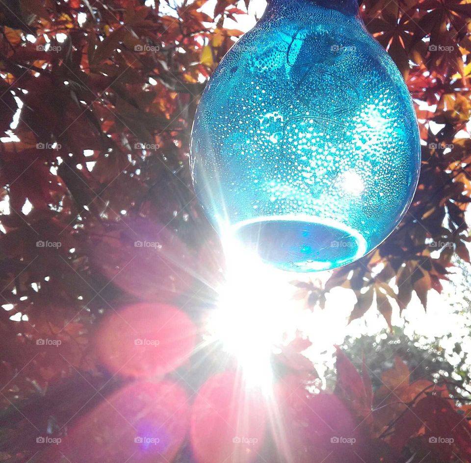 Blue glass tree ornament backlit by setting evening sun