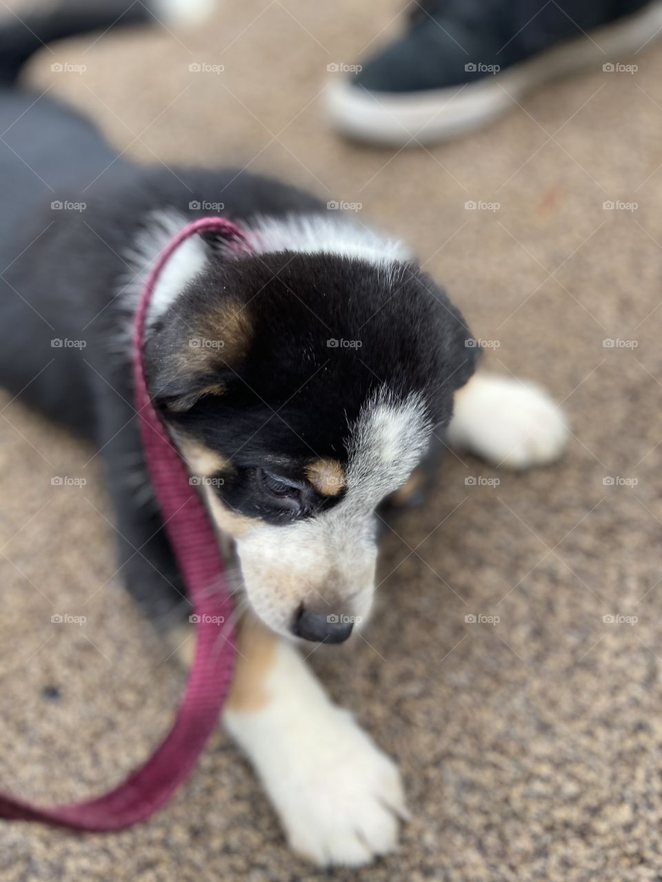 Curiosity, discovering all the new things