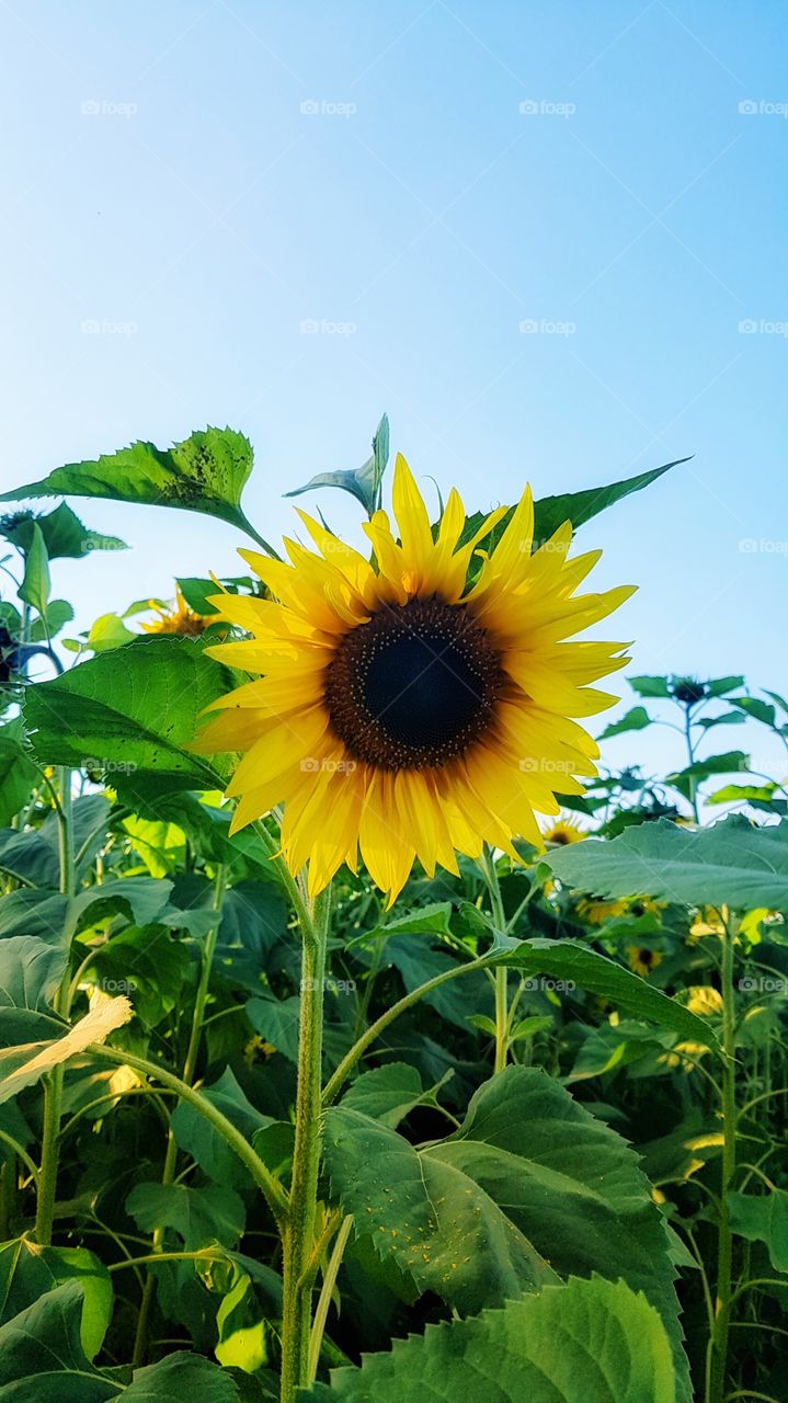 feeling ??😊😍😍