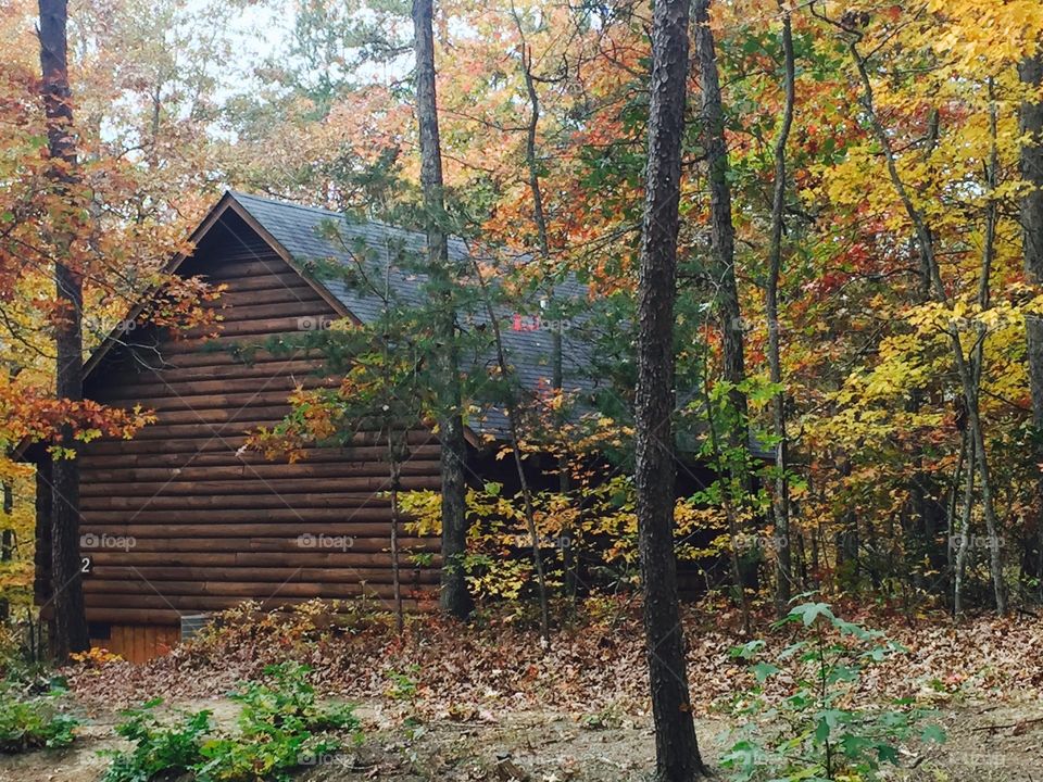 Fall cabin 