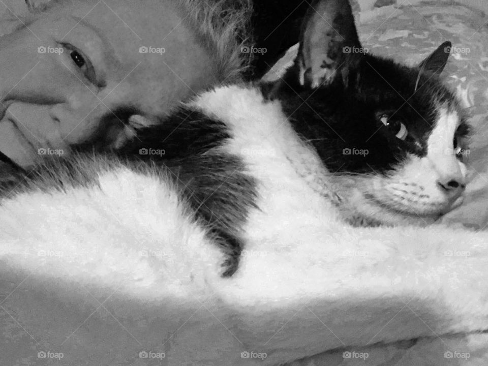 Some early morning sunshine and cuddles with my polar bear cat and some fun experimenting with desktop tools and techniques. The cat looks so impressed! π