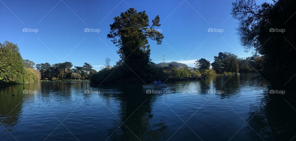 Water, Lake, Tree, Landscape, Reflection