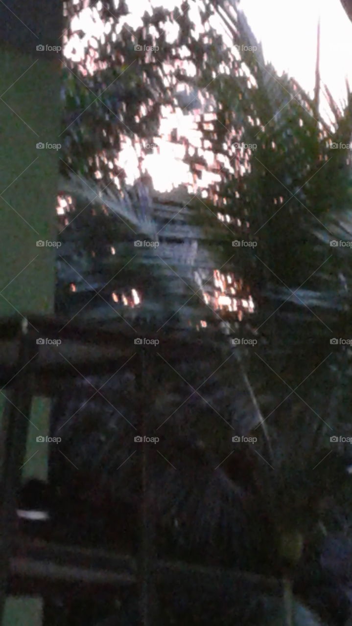 Nature create beauty