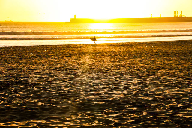 le surfeur