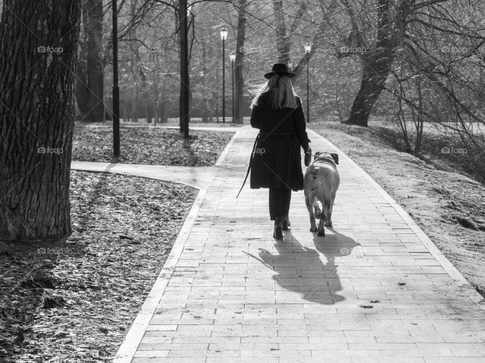 spring walk with dog