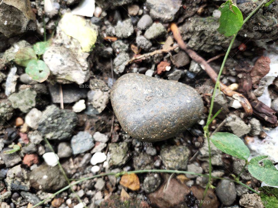 Shape of Stone
Pebbles
Natural Beauty
📷👁️📷👁️