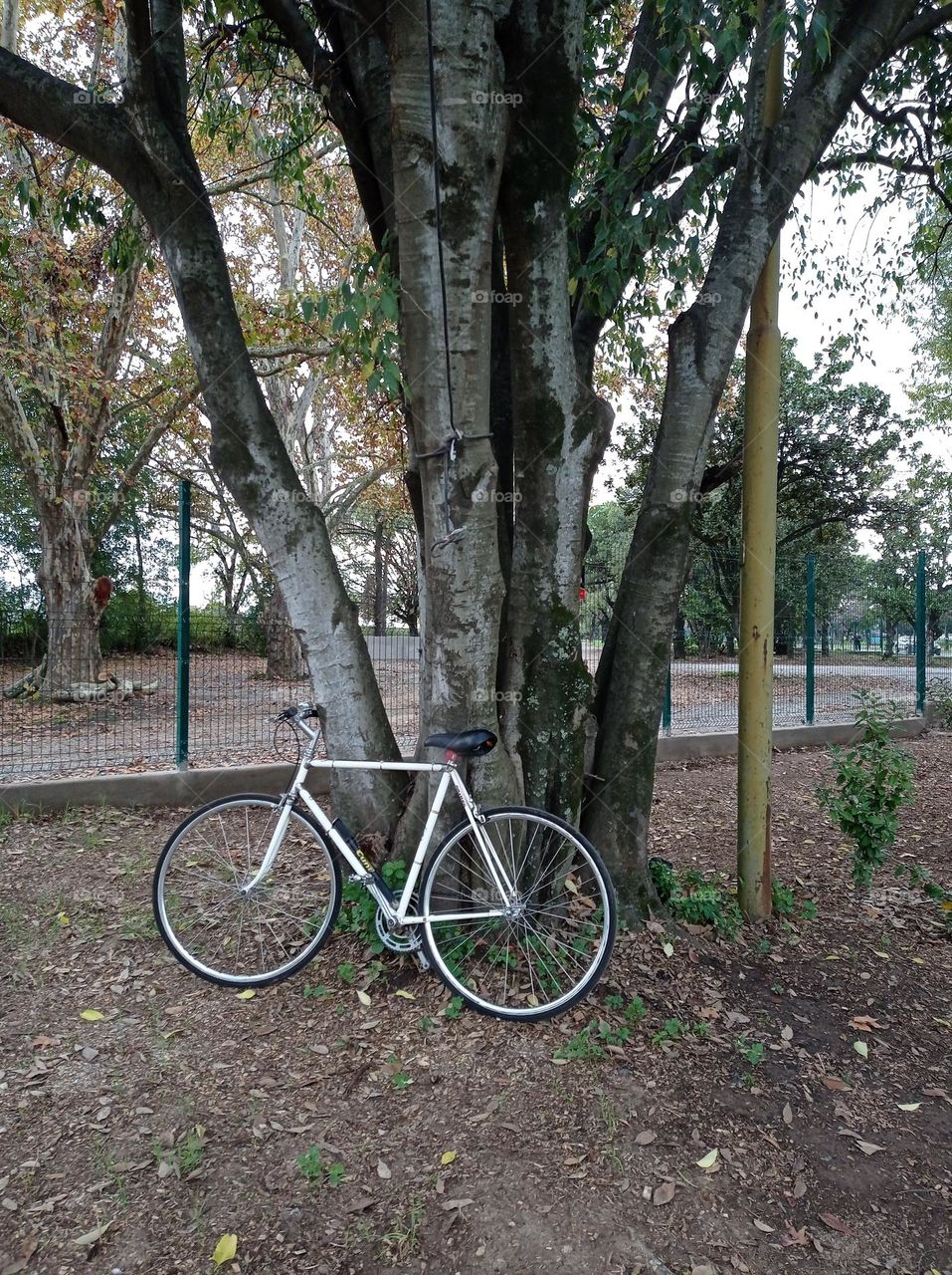 your bike awaits / tu bici te espera