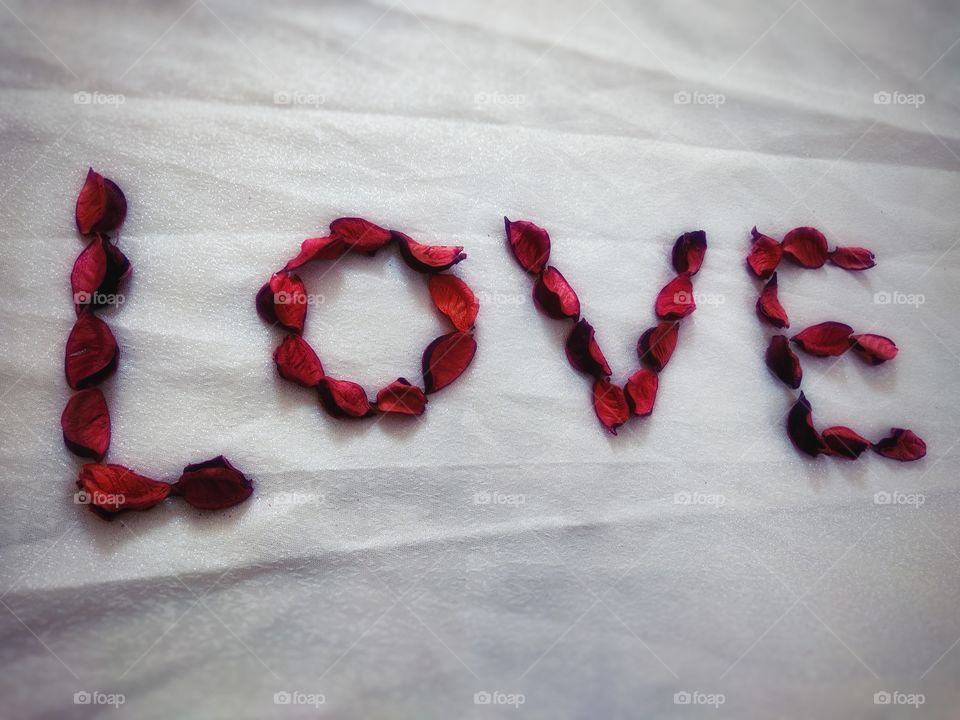 love word written by red rose leaves