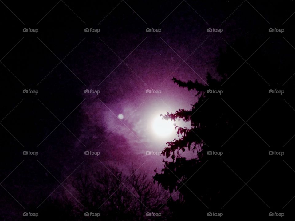 Full Moon in the Sky