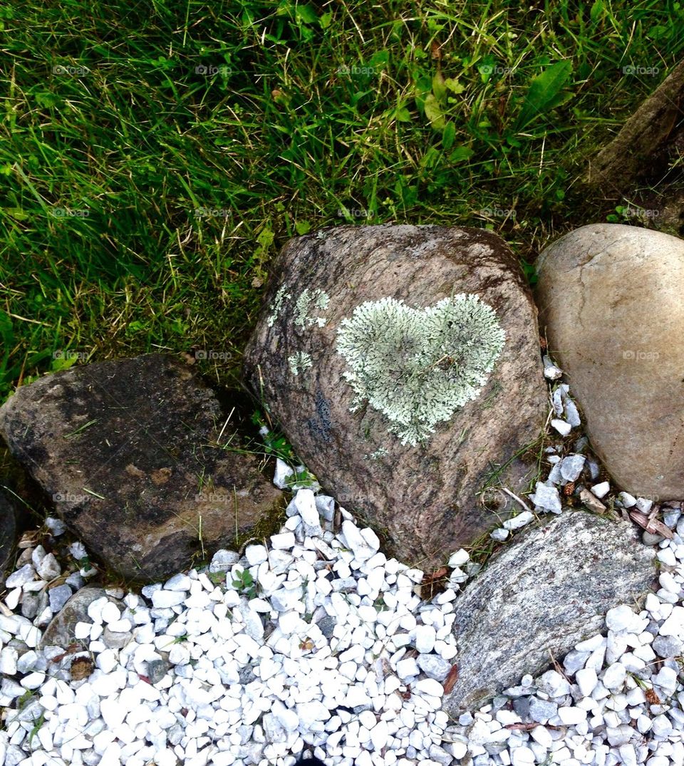 Rock Heart