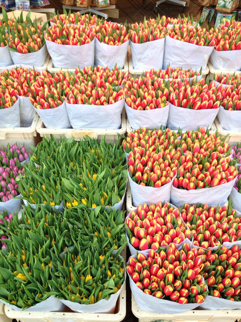 Bunches of colorful tulips in a market