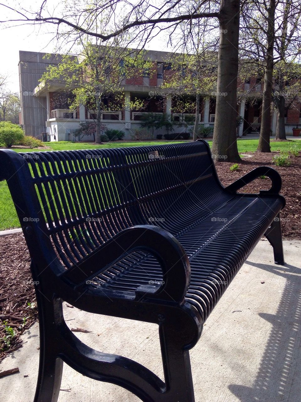 Empty Bench