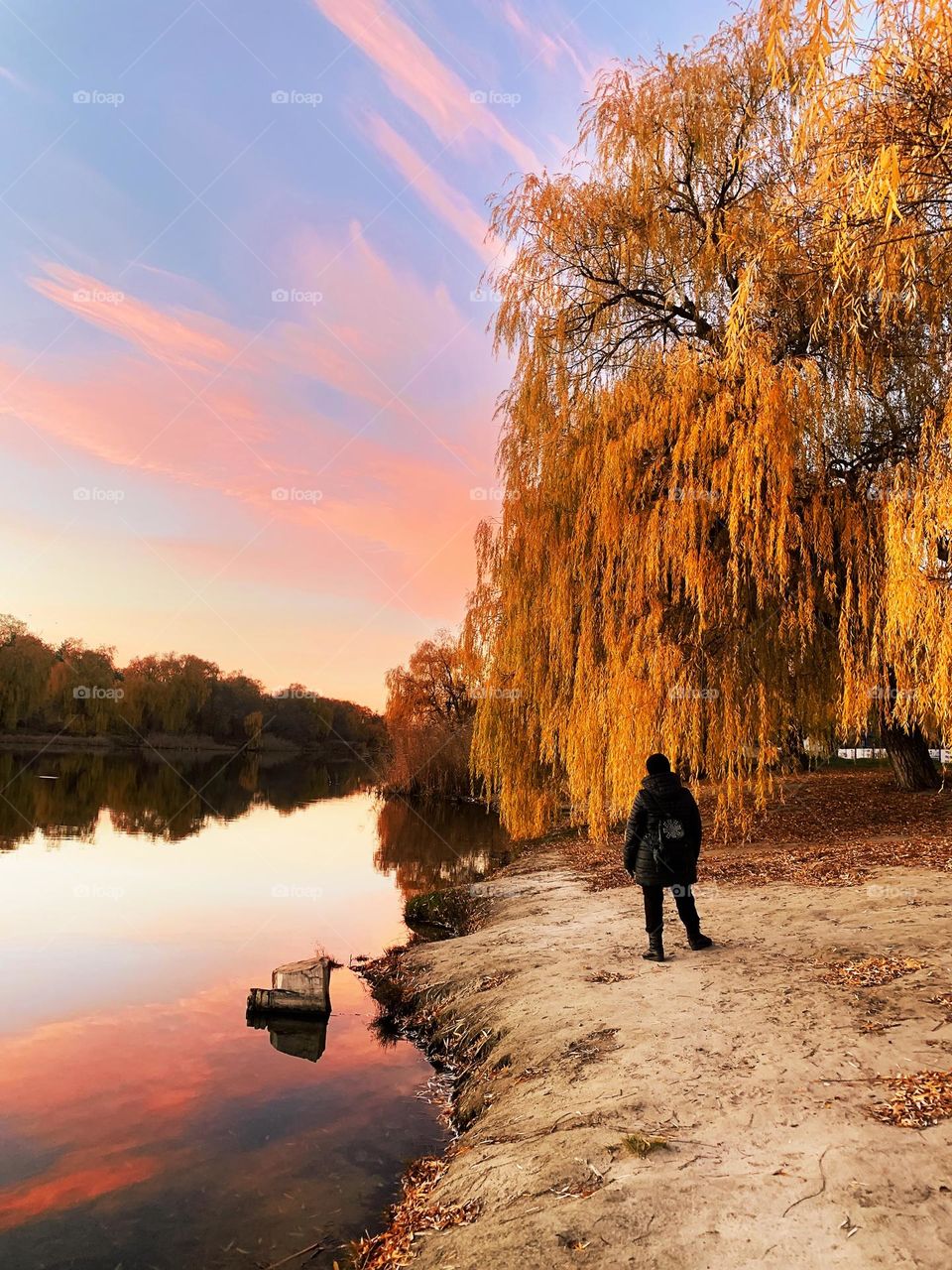Bright and colorful autumn leaves 