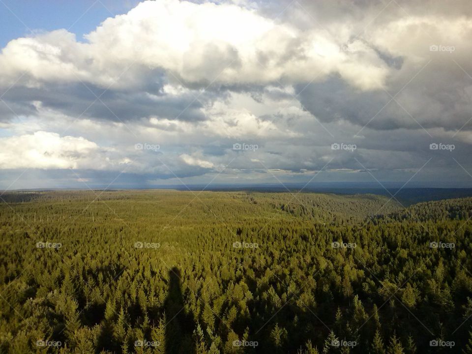 The sky above the forest