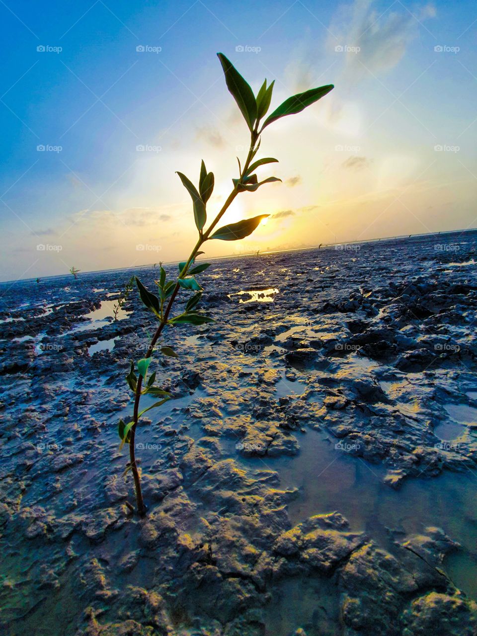 dumas beach, surat, india