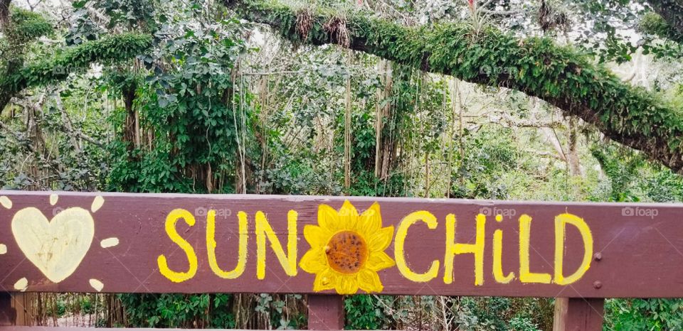 Sun Child Hike Trail Florida