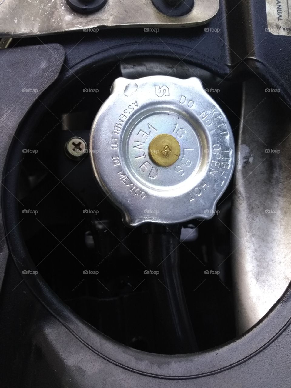 radiator cap, under the hood