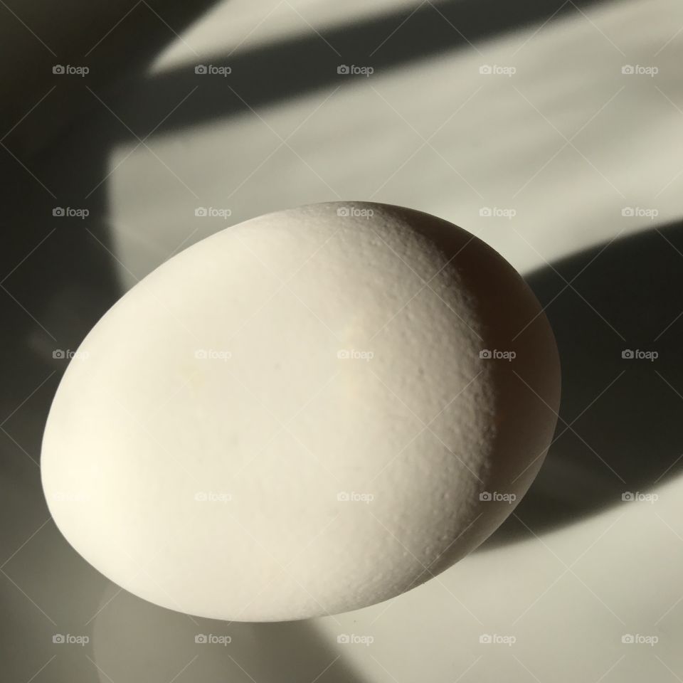 Dramatic close up egg
