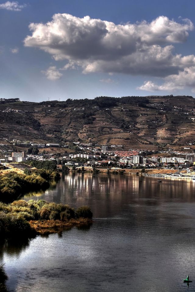 Douro Vinhateiro