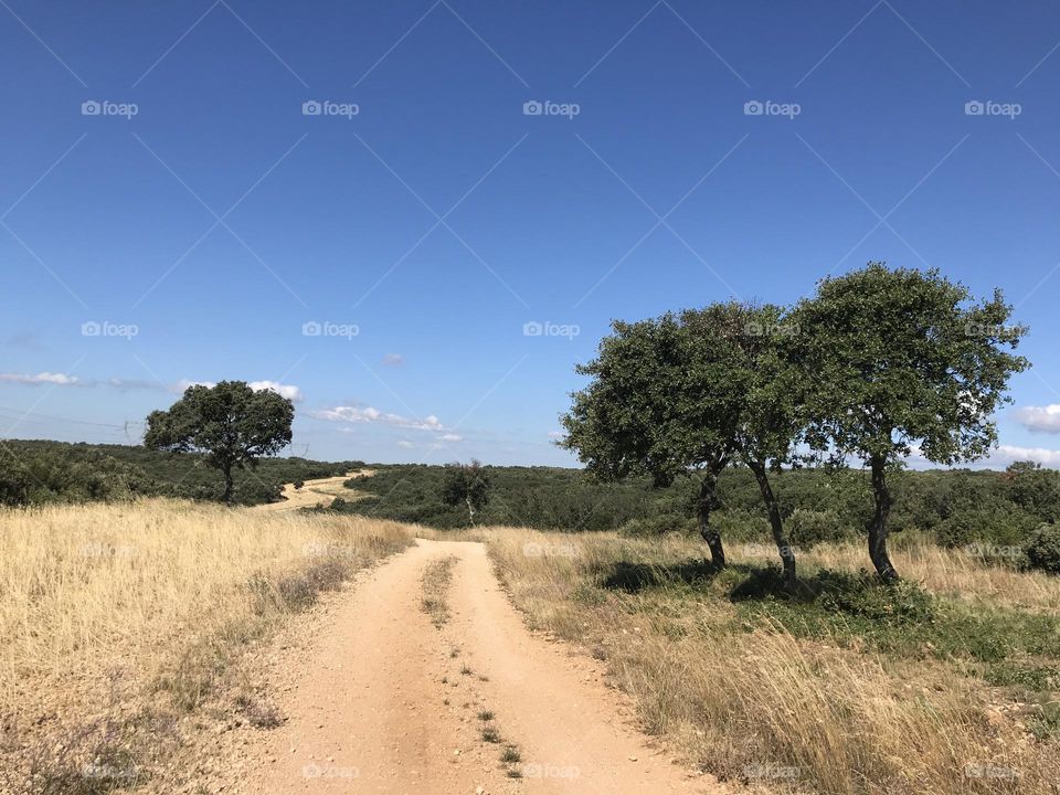 Hiking in Provence