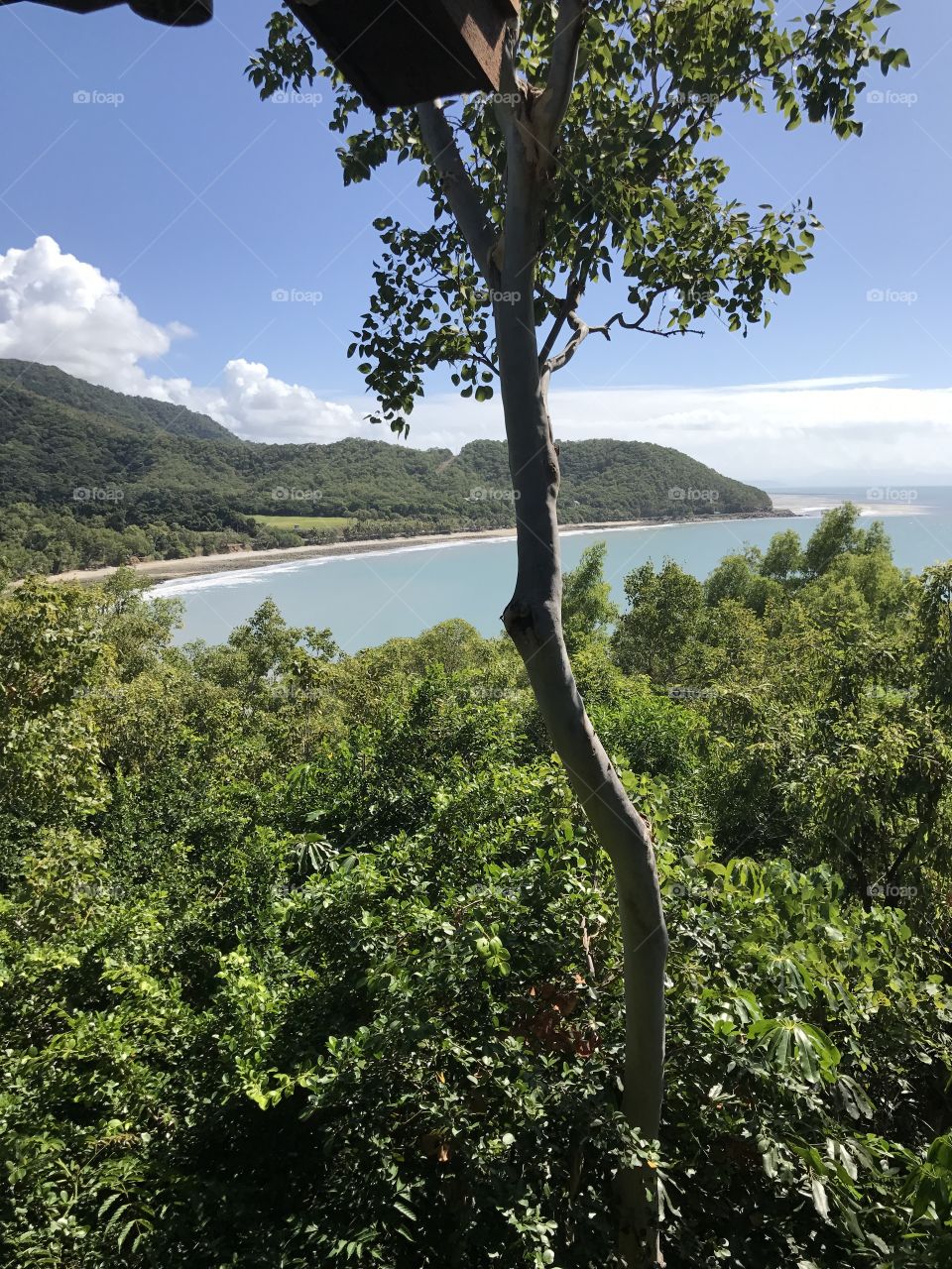 Cairns beach views 