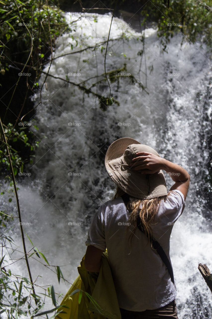 Rainforest falls 