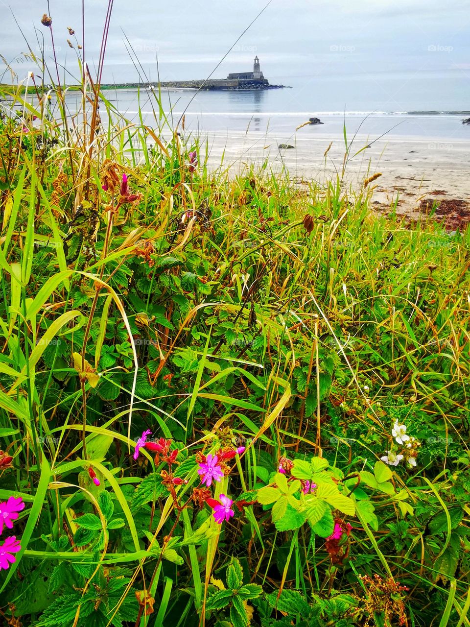 Path down to the beach