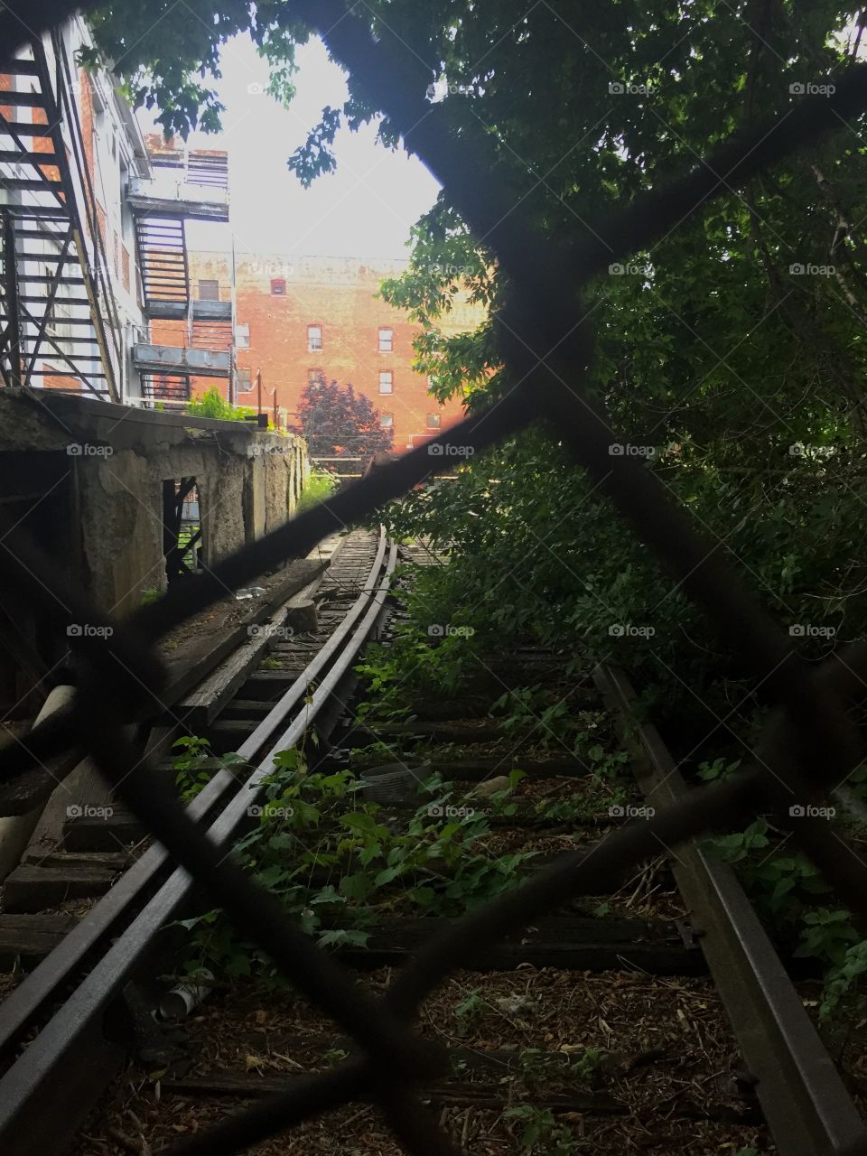 Locomotive, Railway, Track, Train, Bridge