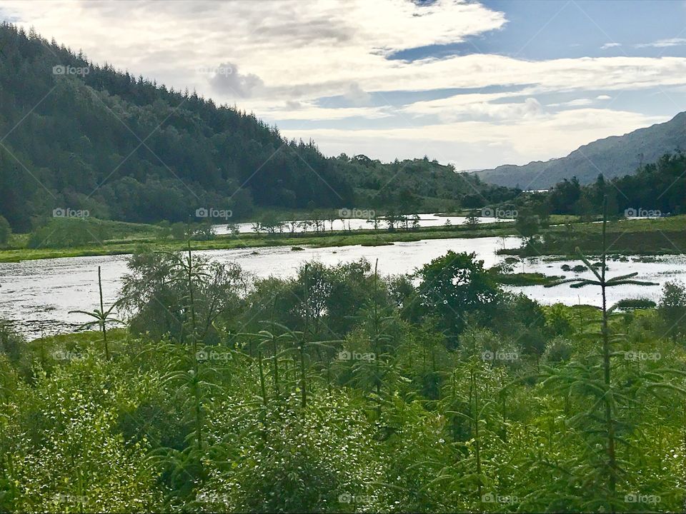 Lochs in summer