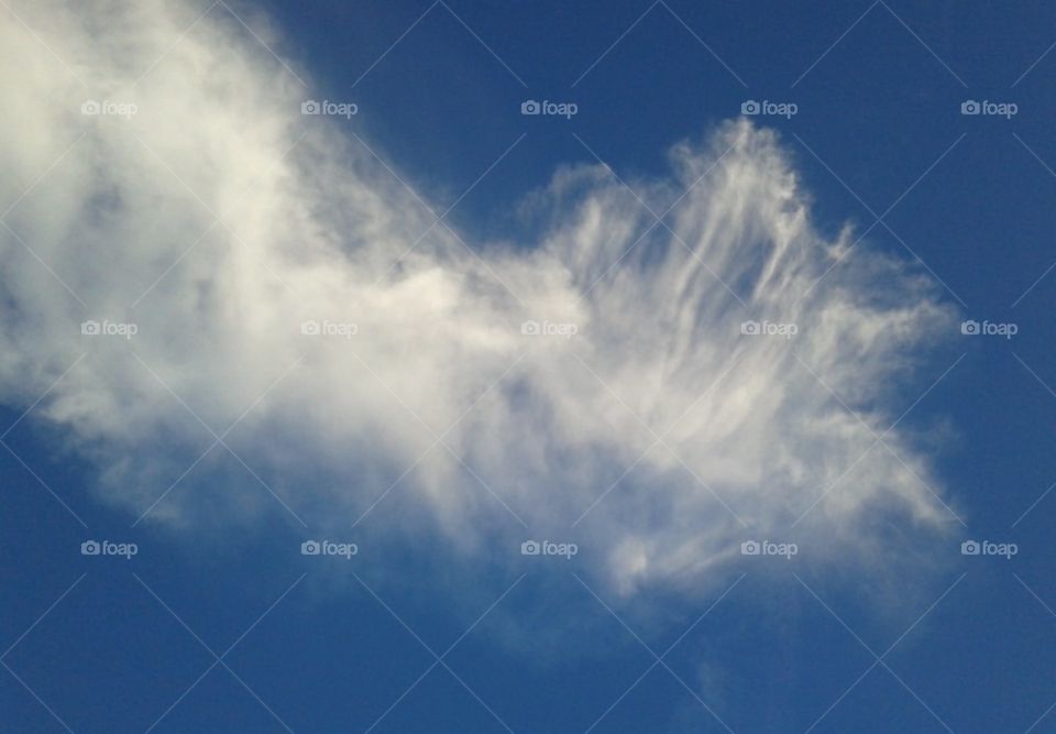 Special white hairy leopard cloud in the blue sky.