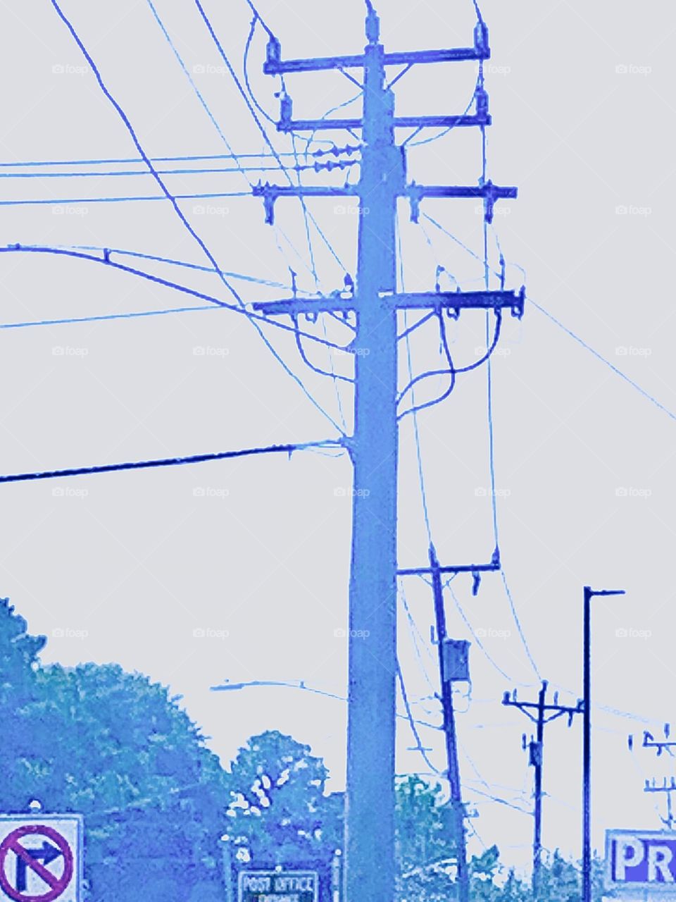 Power poles 